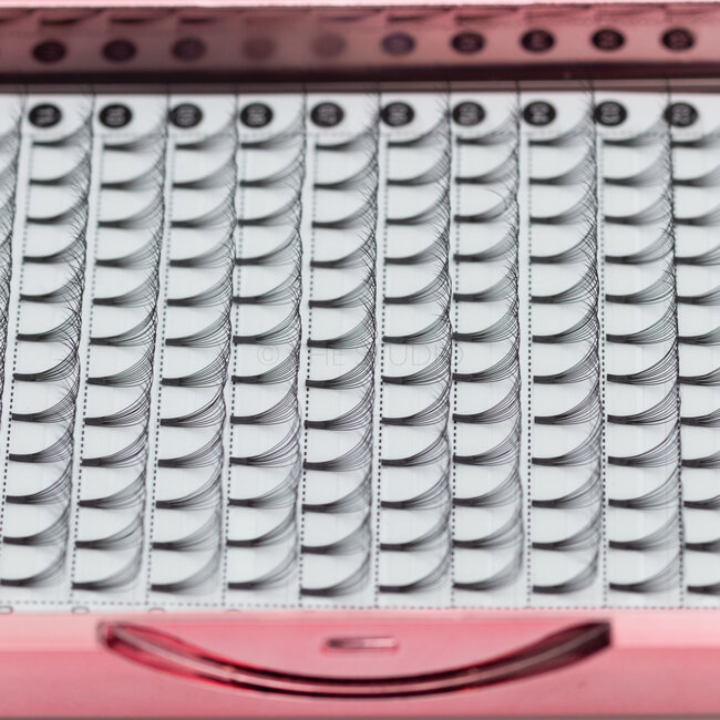 The Studio - Lash  - PreVolume - 10D - .05 - D - 09mm