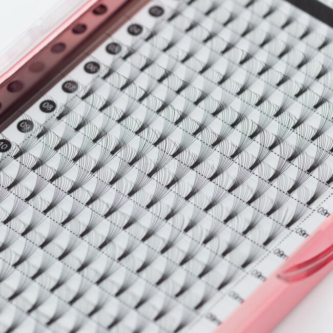 The Studio - Lash  - PreVolume - 10D - .05 - D - 09mm