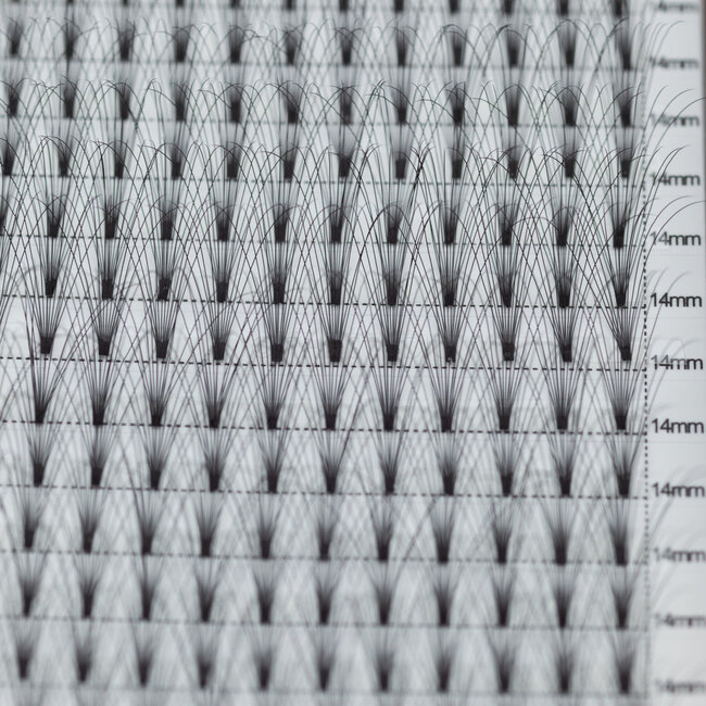 The Studio - Lash  - PreVolume - 10D - .05 - D - 14mm