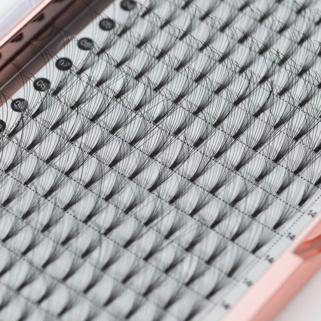 The Studio - Lash  - PreVolume - 10D - .05 - D - 14mm