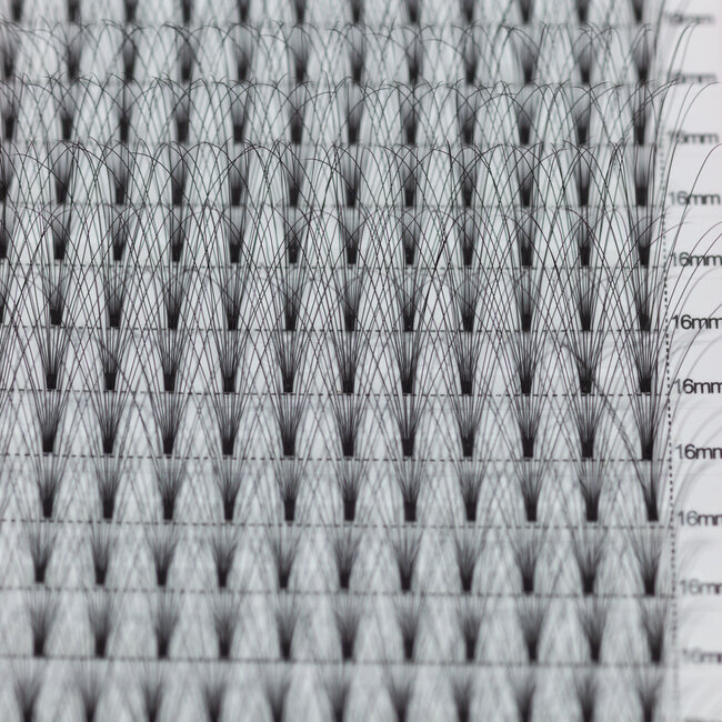 The Studio - Lash  - PreVolume - 10D - .05 - D - 16mm