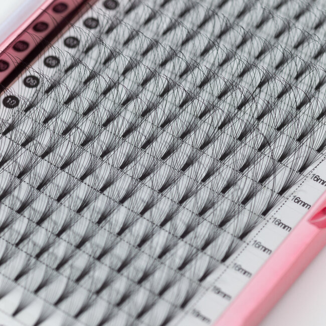 The Studio - Lash  - PreVolume - 10D - .05 - D - 16mm