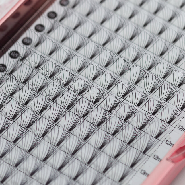 The Studio - Lash  - PreVolume - 7D - .07 - C - MIX