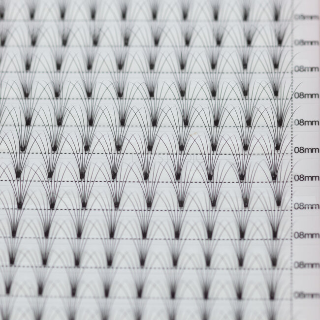 The Studio - Lash  - PreVolume - 7D - .07 - C - 08mm