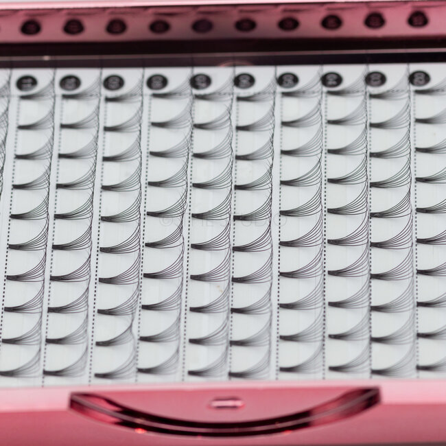 The Studio - Lash  - PreVolume - 7D - .07 - C - 08mm