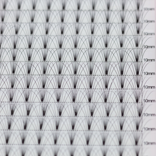 The Studio - Lash  - PreVolume - 7D - .07 - C - 10mm