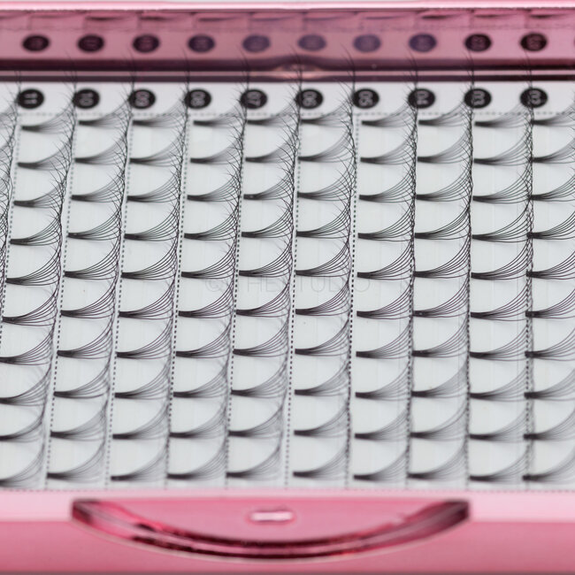 The Studio - Lash  - PreVolume - 7D - .07 - C - 10mm