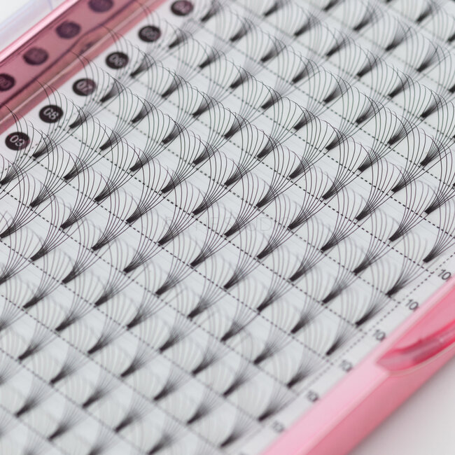 The Studio - Lash  - PreVolume - 7D - .07 - C - 10mm