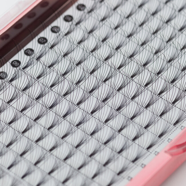 The Studio - Lash  - PreVolume - 7D - .07 - C - 13mm