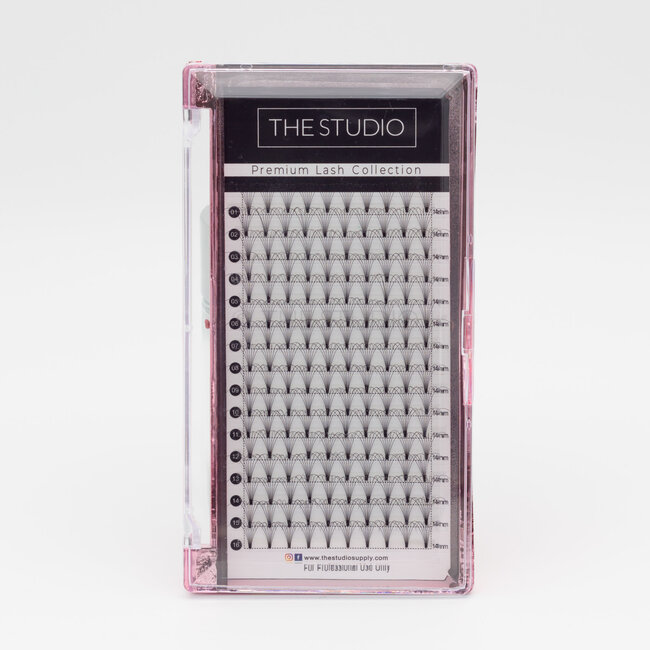 The Studio - Lash  - PreVolume - 7D - .07 - C - 14mm