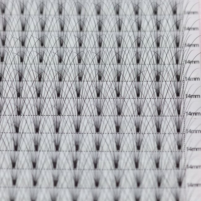 The Studio - Lash  - PreVolume - 7D - .07 - C - 14mm