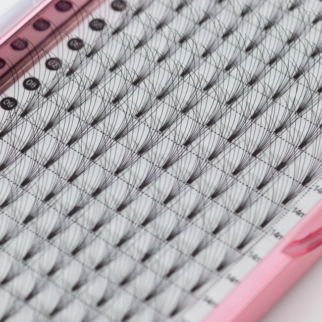 The Studio - Lash  - PreVolume - 7D - .07 - C - 14mm