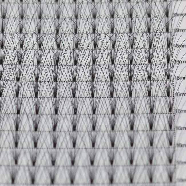 The Studio - Lash  - PreVolume - 7D - .07 - C - 16mm