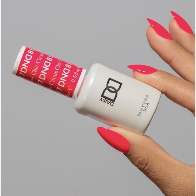 DND - 0 817 - Circus Chic - DUO Polish