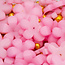 The Studio The Studio - Art Pack #344 - Assorted 3D Flower Charms - 05