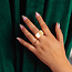 Apres Apres - French Manicure Gel - 123 Amazonia - 0.5 oz