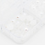 The Studio The Studio - Art Pack #365 - Assorted Pearls - 6 pcs