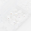 The Studio The Studio - Art Pack #365 - Assorted Pearls - 6 pcs