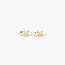 The Studio The Studio - Art Pack #402 - Rhinestone Leaves