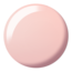 DND DND - 0 872 - So Dam Fly - DUO Polish