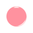 Kiara Sky Kiara Sky - 5048 - AIO Powder - Pink Panther - 2 oz