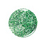 Kiara Sky Kiara Sky - Platinum FX Glitter Gel -208 Emerald Star - 0.5 oz