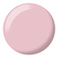 DND DND - 0 451 - Rock N Rose - DUO Polish