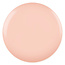 DND DND - 0 487 - Fairy Dreams - DUO Polish