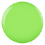 DND DND - 0 568 - Green Forest, AK - DUO Polish