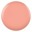 DND DND - 0 610 - Orange Grove - DUO Polish