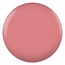DND DND - 0 612 - Jovial - DUO Polish