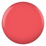 DND DND - 0 650 - Floral Coral - DUO Polish