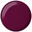 DND DND - 0 731 - Plum - DUO Polish