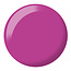 DND DND - 0 798 - Twister - DUO Polish