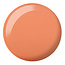 DND DND - 0 802 - Honeymoon - DUO Polish