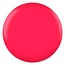 DC DC - 0 012 - Peacock Pink - DUO Polish