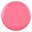 DC DC - 0 017 - Pink Bubblegum - DUO Polish
