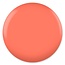 DC DC - 0 112 - Apple Cidar - DUO Polish
