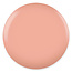 DC DC - 0 144 - Morning Eggnog - DUO Polish