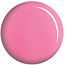 DC DC - 0 156 - Wild Rose - DUO Polish