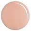 DC DC - 0 170 - Plum Frost - DUO Polish