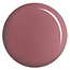 DC DC - 0 173 - Wildflowers - DUO Polish