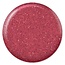 DC DC - 0 219 - Tulip - Gel Only