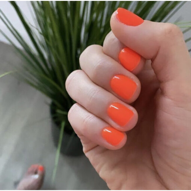 DC - 0 272 - Hot Mess - DUO Polish