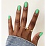 DC DC - 0 254 - Forest - DUO Polish