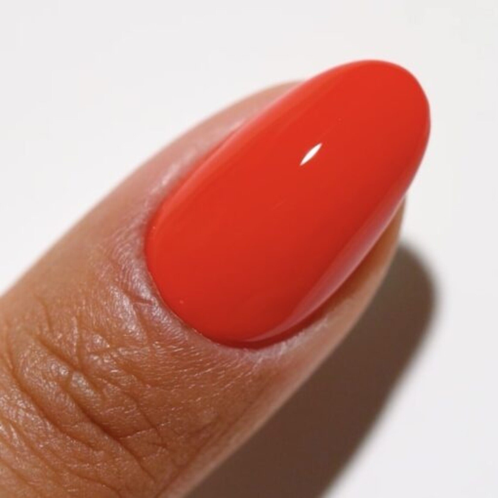 DC - 2543 - Ladybug - DUO Polish