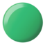 DC DC - 2537 - Palm Tree - DUO Polish