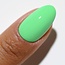 DC DC - 2537 - Palm Tree - DUO Polish