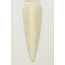 V Beauty Pure - Pigment - 129 Tiye - Egyptian Goddess - 0.5 oz