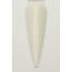 V Beauty Pure V Beauty Pure - Cover - Super White - 3.5 oz